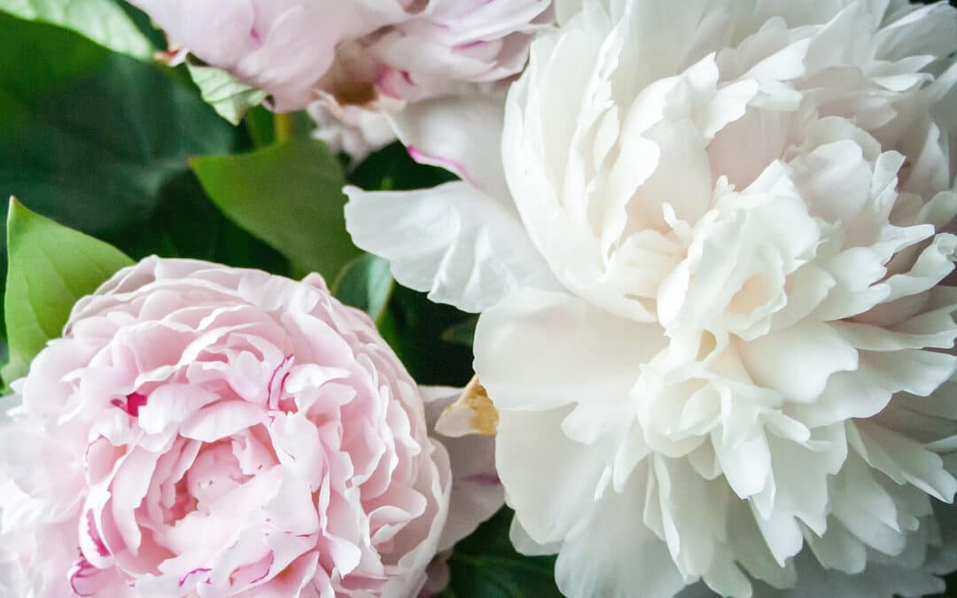 Sivan 5780 / May 2020